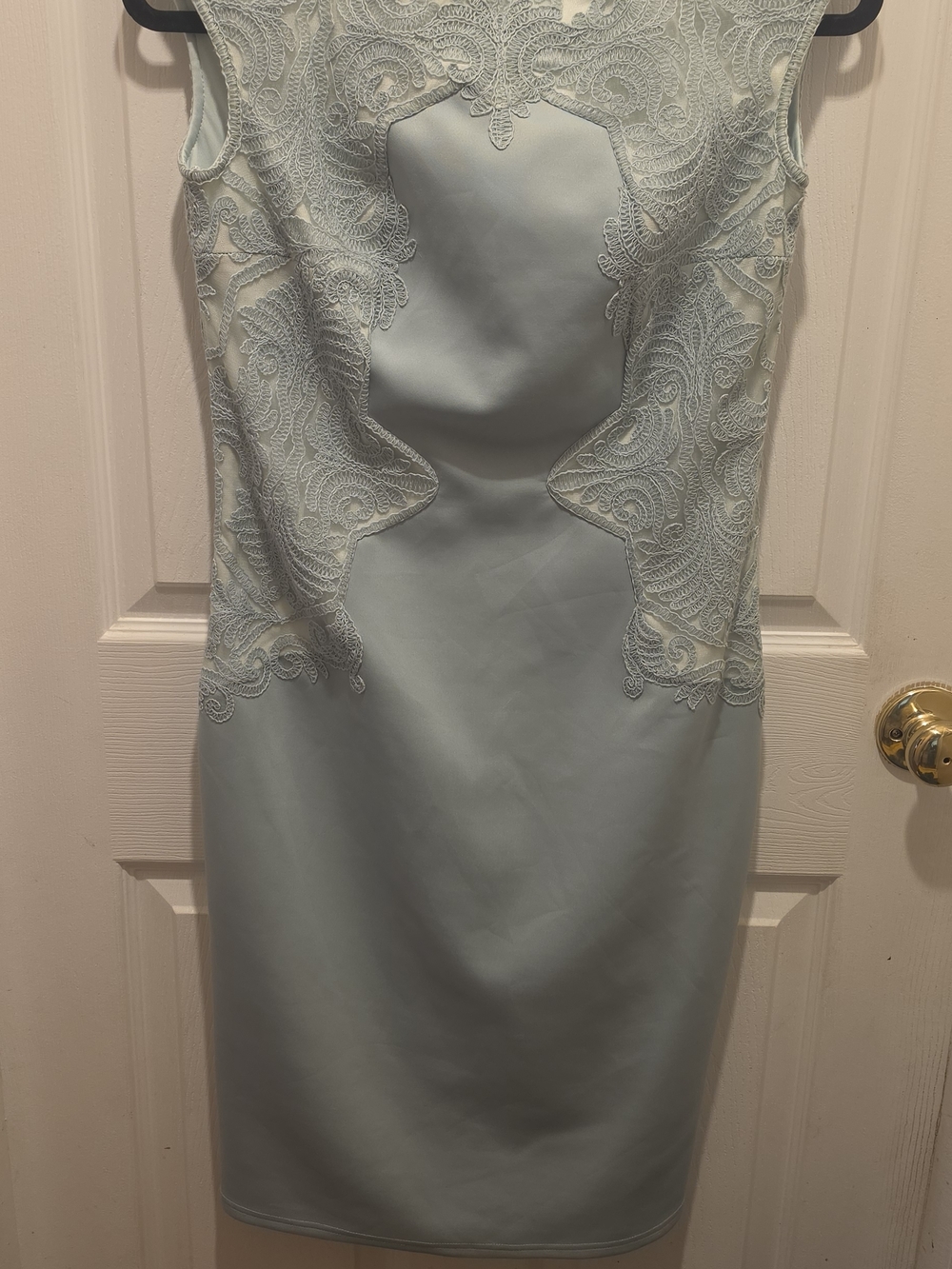 Tadashi Shoji Light Green Lace Backless Sheath Dress